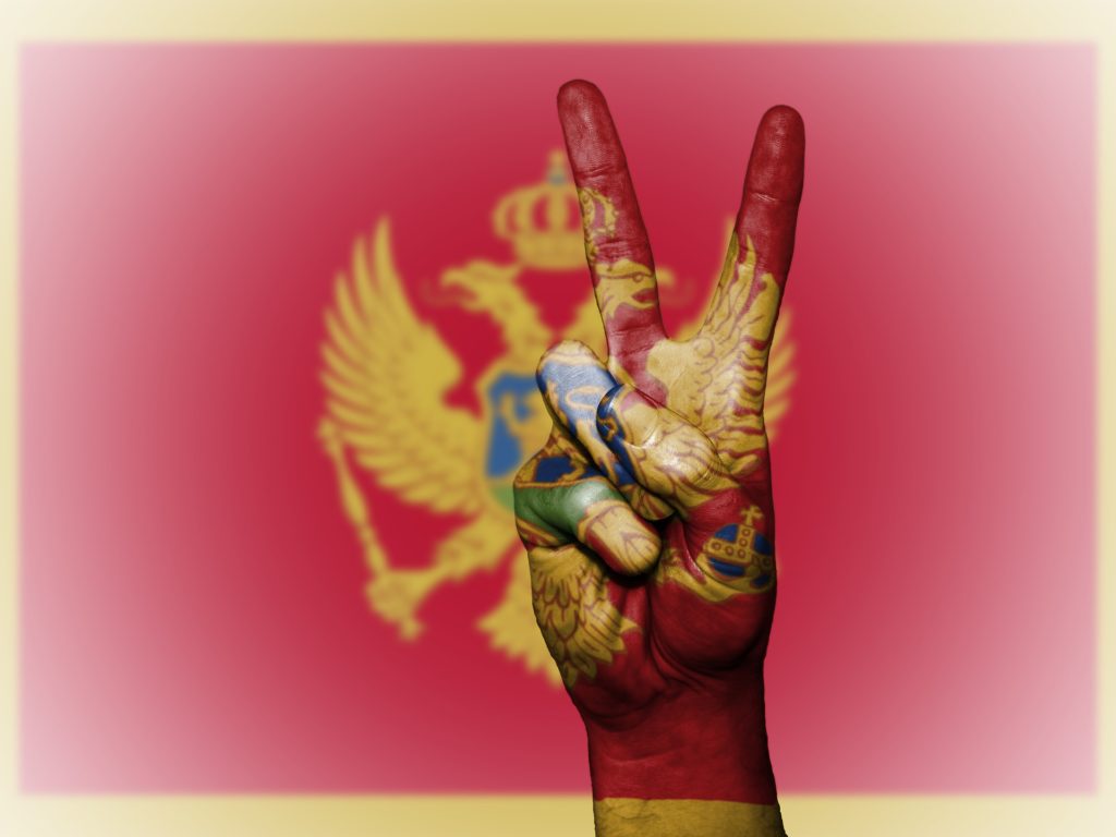 Способы получения ВНЖ в Черногории для граждан России