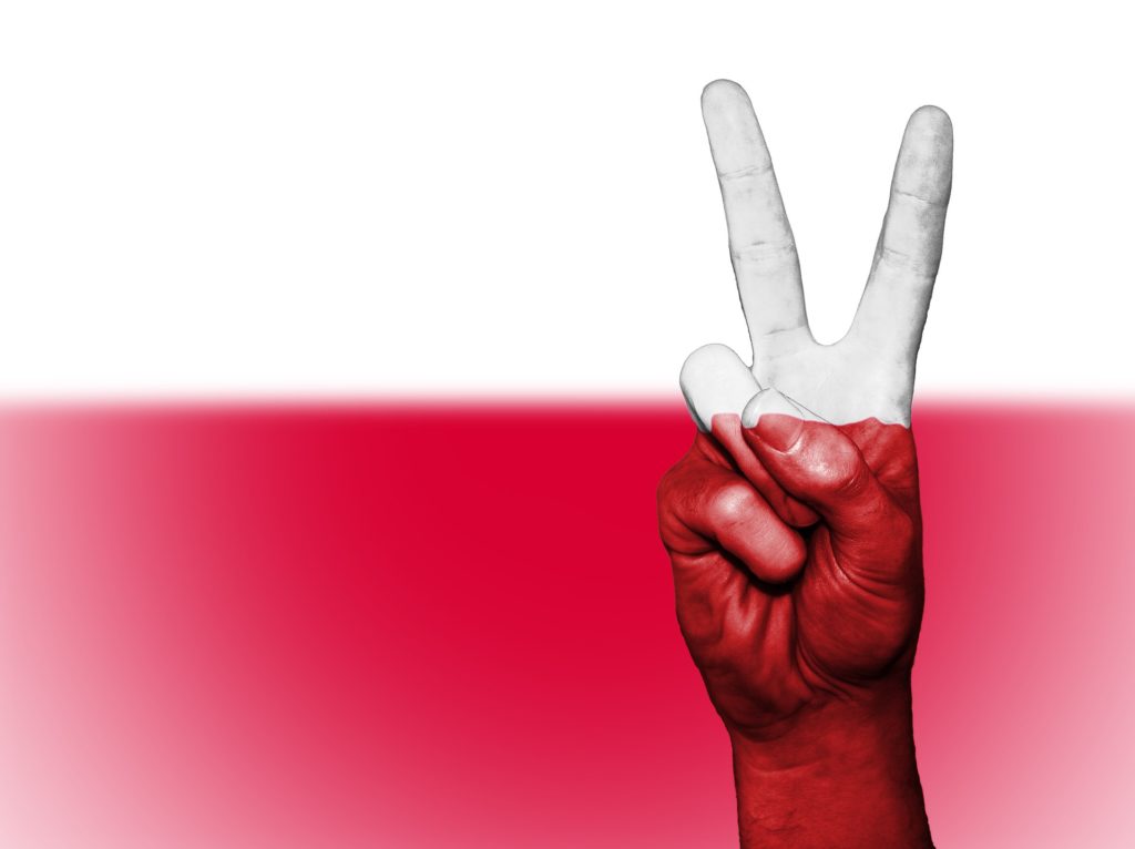 Способы получения гражданства Польши для россиян